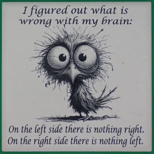 Funny 38