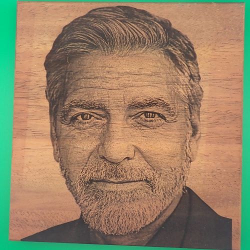 Hardwood Portraits 01